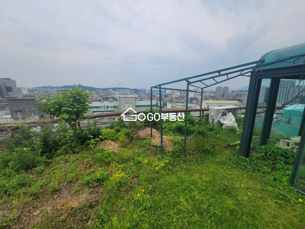 서울 강서구 화곡동 화곡역2분거리 전용27평+ 펜트하우스옥상 매매 매물번호 10771 사진 3