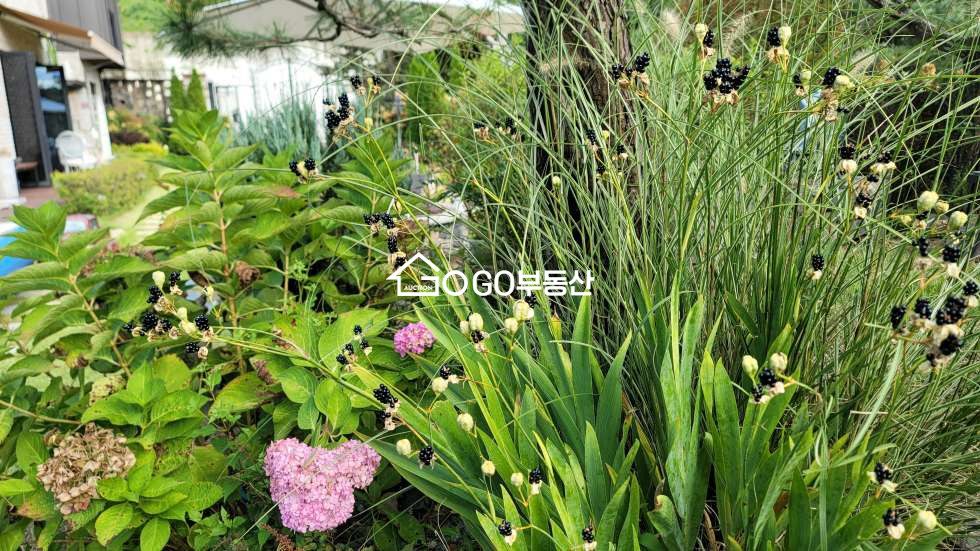 경기 양평군 양서면 대심리 경기도 양평군 양서면 고급 별장 매매 매매 매물번호 10786 사진 16