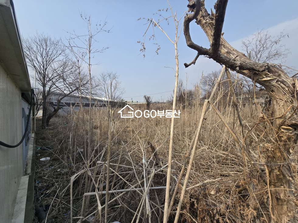 경기 고양덕양구 화전동 냉동창고,창고부지,단독주택부지 -덕양구 화전동 토지 608평 매매 매매 매물번호 10928 사진 1