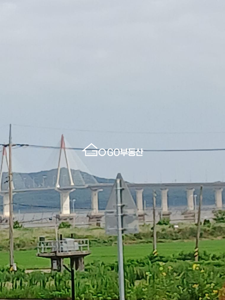 인천 강화군 양사면 인화리 가족힐링형 과수원,농장 토지 178평 매매 매매 매물번호 11000 사진 12
