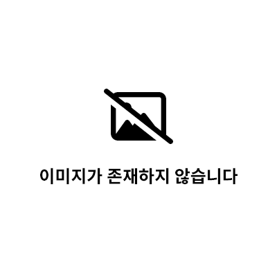 서울 용산구 한강로3가 용산사옥 통매매, 용산 정비창전면 1구역 재개발 투자 물건- 7개분야 통합심의 통과 매매 매물번호 11009 사진 4